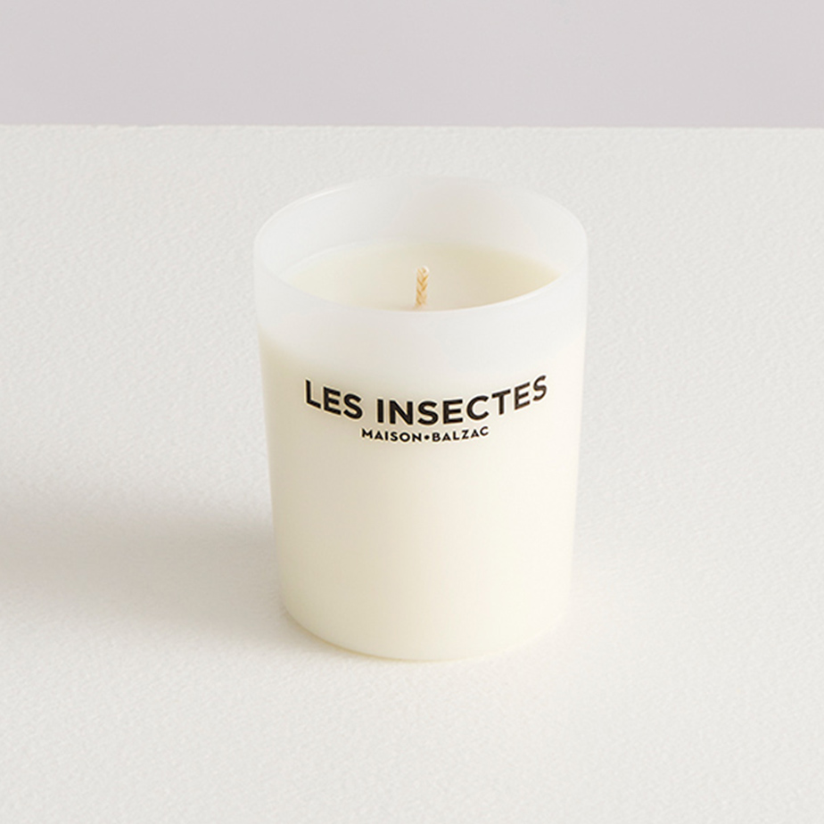 נר LES INSECTES